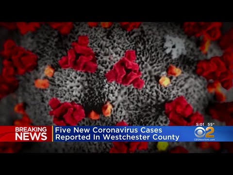 coronavirus-update:-five-new-cases-reported-in-westchester-county,-bringing-new-york-state-total-to