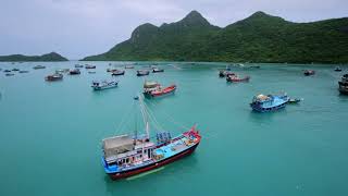 Nguyễn Quốc Cường