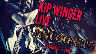 Kip Winger feat Cenk & Efe Eroglu - Down Incognito (Live In Istanbul) #efeeroglu Resimi