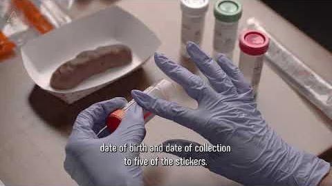 How To: Collect GI Effects at Home