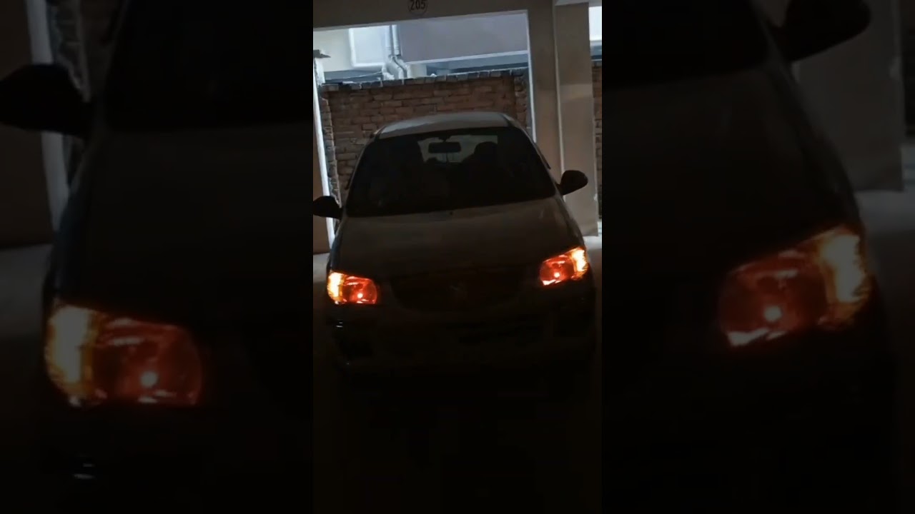 Alto K10 👑