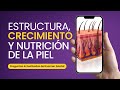 Estructura, Crecimiento y Nutrición de la Piel | Cosmetología | Esteticista |  Manicurist | Barbería