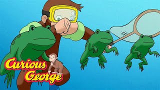 george takes a dive curious george kids cartoon kids movies