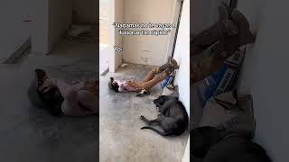 Como Gorda En Tobogán