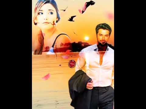 يا طير الشوق