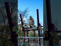 Unusual Birdhouses in Breda 🇳🇱 | Netherlands