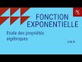 Maîtriser la Fonction Exponentielle : Définitions, Propriétés et Exercices