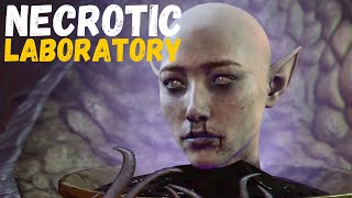 Baldur's Gate 3 Necrotic Laboratory Walkthrough Guide | Baldur's Gate 3 gameplay no commentary