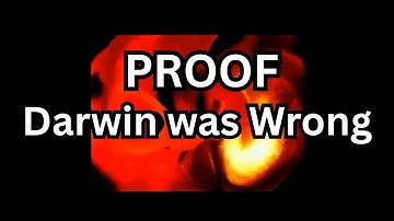 Genesis vs. Darwin: The Proof Is in Your Eyes