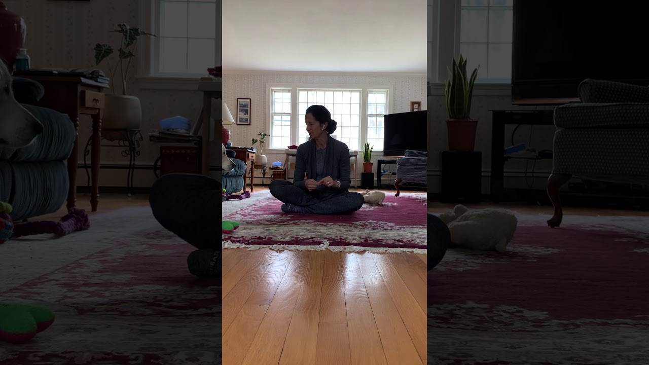 Day 31 Challenge Video