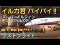 【ラストフライト】B737-500/JA305K大阪伊丹空港着陸&離陸 2020/3/15【魚束スーパードルフィン退役】last flight of a retired 【イルカ君バイバイ!!】