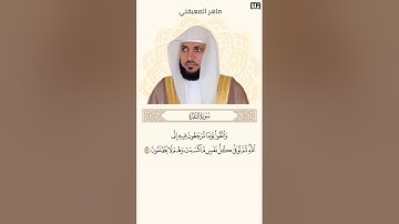 ماهر المعيقلي سورة البقرة آية 281 (واتقوا يوماً ترجعون فيه الى الله) | Mahmoud Okasha