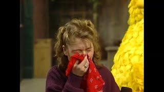 Charakters from the TVShow 'Sesame Street' sneeze, cry and blow their noses