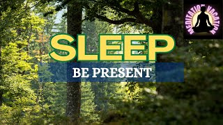 VR Meditation - Be Present Enough To Sleep | Guided Mind Talk Down With Body Scan