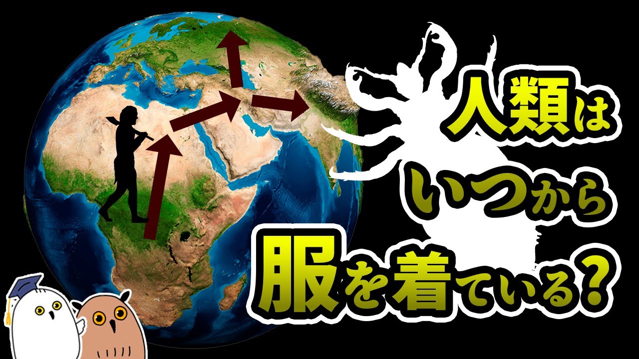 【ゆっくり解説】シラミから見る人類の服の起源【進化論】