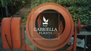 Gabriella Plants - Our Ingredients