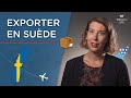   pourquoi exporter en sude quand on est une pme   