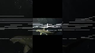 수심 10,000m 아래로 가라앉는 음악 (Deep Sea Ambient) #Shorts #쇼츠 #ambientmusic #엠비언트 #심해 #deepsea #어두운바다의등불이되어