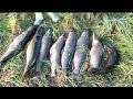 Рыболовные путешествия: Щуки реки Таз