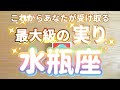 水瓶座♒️これからあなたが受け取る最大級の実り‼︎‼︎〜見た時がタイミング〜Timeless reading〜タロット&オラクルカードリーディング