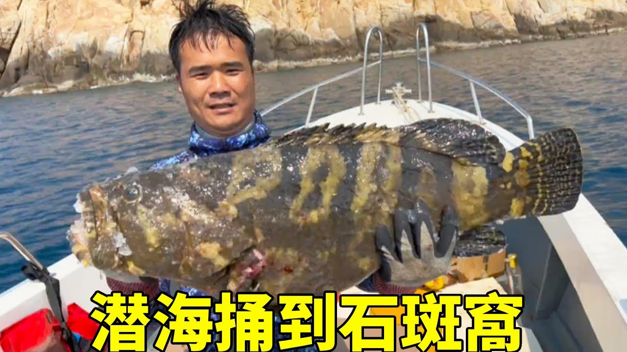 阿鋒潜海捅到石斑窩，巨型石斑連中太過癮，這次數錢到手抽筋【探海漁人】