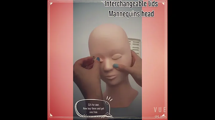 Nice Mannequins head