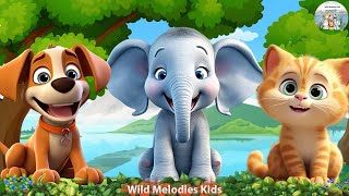 Peaceful Wild Animal Sounds: Dog, Cat, Penguin, Elephant - Animal sounds