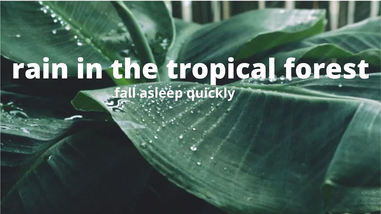 Rain sound to fall asleep