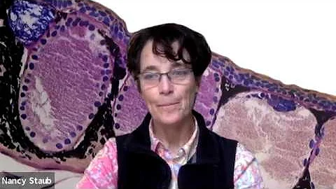 Nancy Staub | Biology