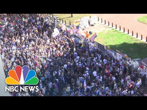 Hundreds Celebrate Outside The White House After Joe Biden Is Projected President-Elect - NBC News.