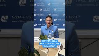 На что похожа Беловежская пуща из космоса?