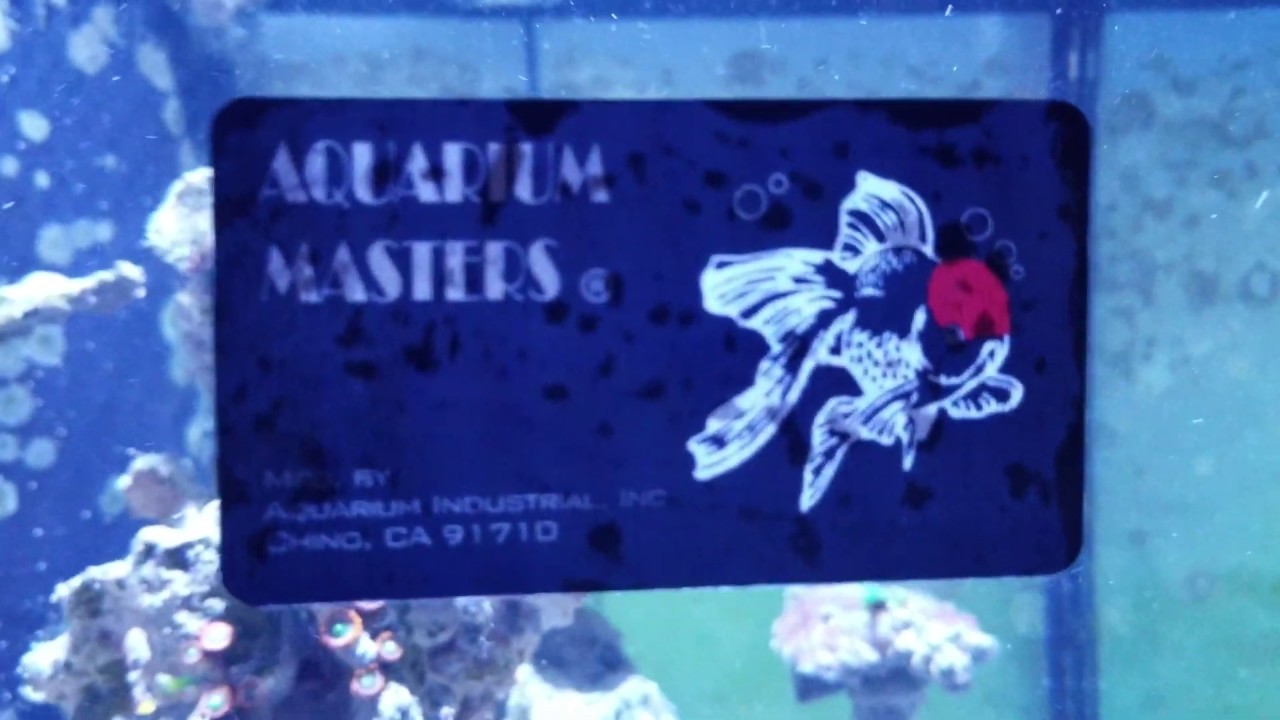 Aquarium Masters Fish Tanks 60 gallon Cube Quality review video ( poor