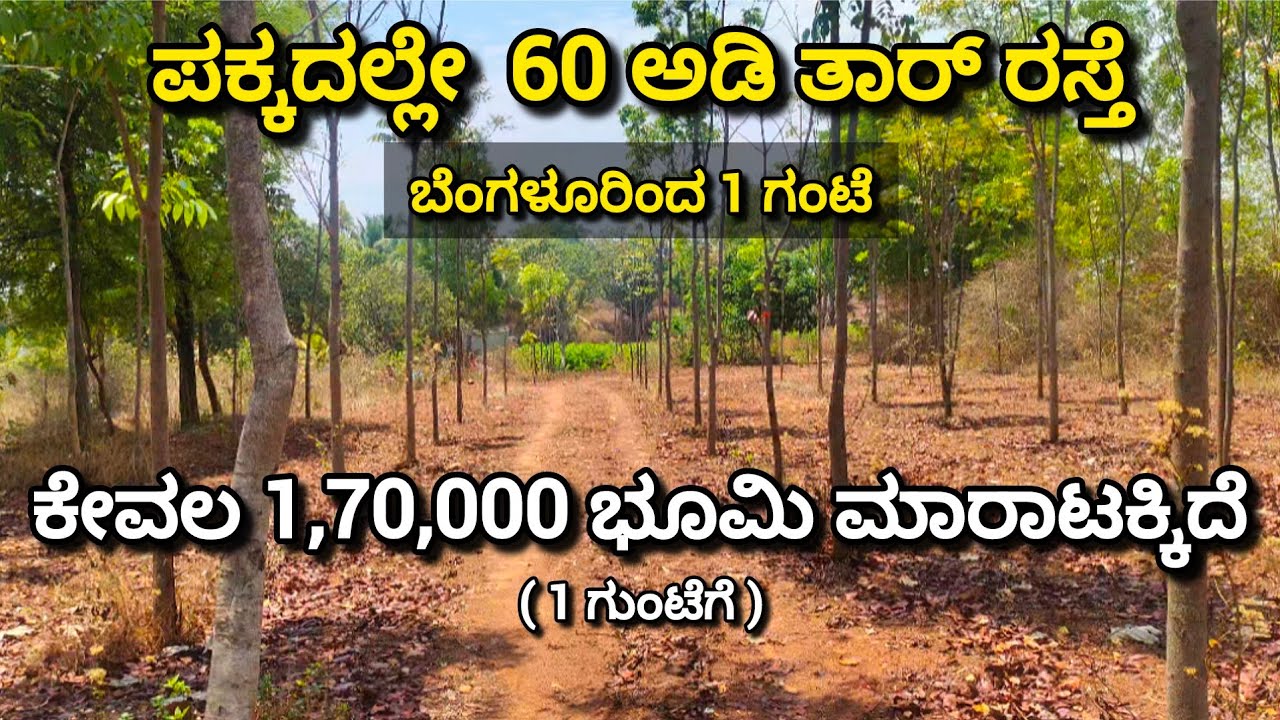 farm-land-sale-in-channapatna-near-bengaluru-57-km-from-kengeri-10