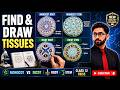 How to Find and Draw Plant Tissues | Class 12 Biology PBA FBISE | New Syllabus Practical Assessment