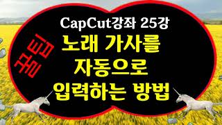 노래 가사를 자동으로 입력하는 방법 CapCut 강좌 25강 노래가사 자동입력 방법  가사 자동입력 방법 캡컷 가사 자동입력 CapCut 노래 가사 자동입력 방법 screenshot 3