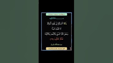 سورة النحل - سورة 16 - اية 78