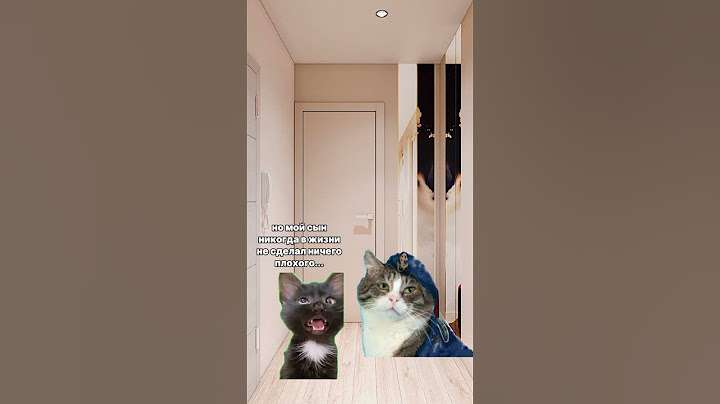пов:когда подрался в школе с одноклассником 2 часть #котики #мемныекоты #мем #мемас #пжактив