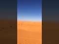 شيلة سـجـيـن الـمـحـانـي كلمات ناصر السلمي اداء هشام السلمي 