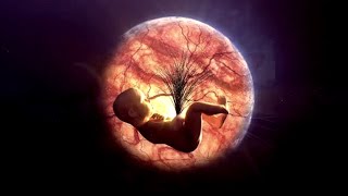 Bound Babies of Sol