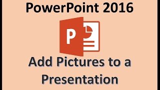 Celebrity PowerPoint 2016 - Images - How To Insert and Edit Pictures in MS Microsoft PPT 365 - Image Tutorial Profile