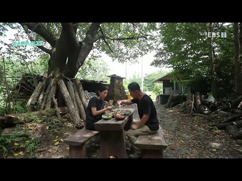 한국기행 - Korea travel_숲속에서 삽니다 2부- 느리게 사는 즐거움_#001