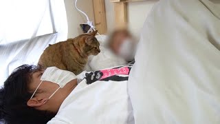 ニートに愛猫を奪われました。寝てる隙に…