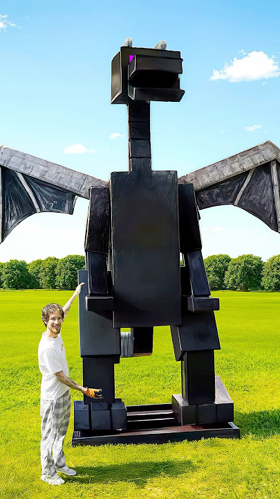 Minecraft Ender Dragon in Real Life
