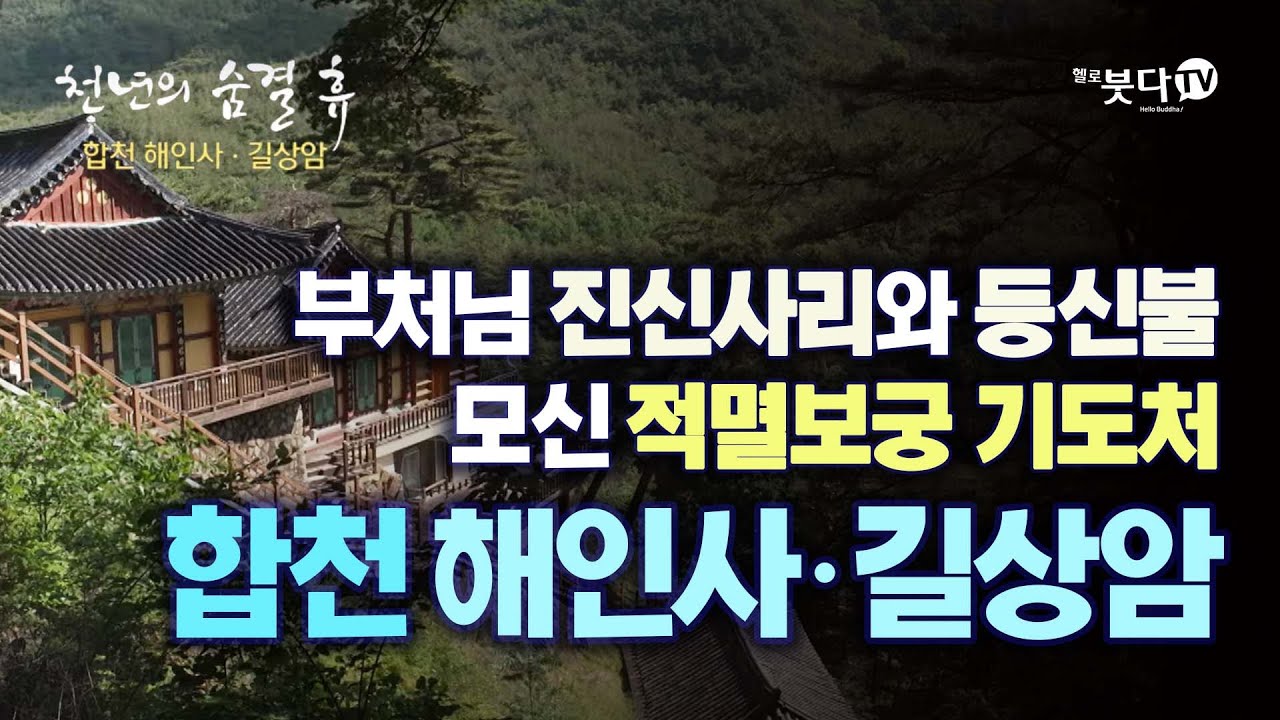 부처님 진신사리와 등신불 모신 적멸보궁 기도처 합천 해인사 길상암  |  천년의 숨결 휴 시즌4 8회 | 사찰 여행 경남 팔만대장경 가야산 스리랑카 사리
