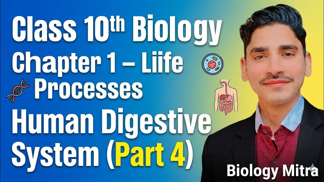 Human Digestive System Class 10 | Easy Explanation in Hindi