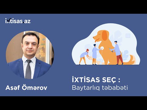 Video: Baytarlıq Mütəxəssisləri: Həqiqətən Kimlərdir