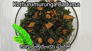 කතුරුමුරුංගා බැදුම | Kathurumurunga Baduma | With English Sub