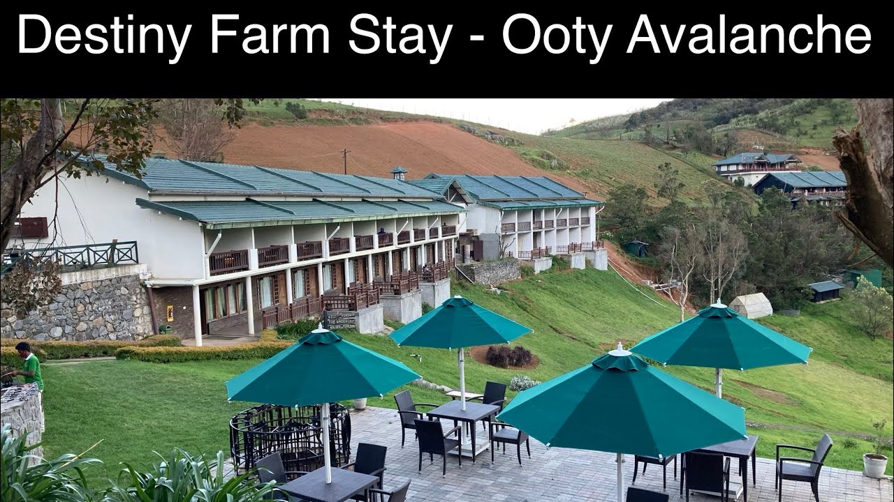 Destiny Farm Stay Tamil Vlog Avalanche Ooty YouTube