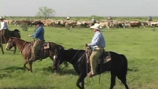LX Ranch: Roundup and Sorting Spring Roundup 2005