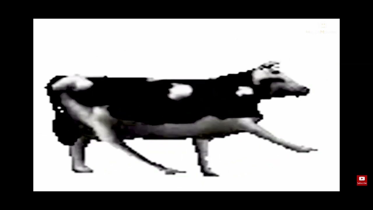The final Polish cow YouTube